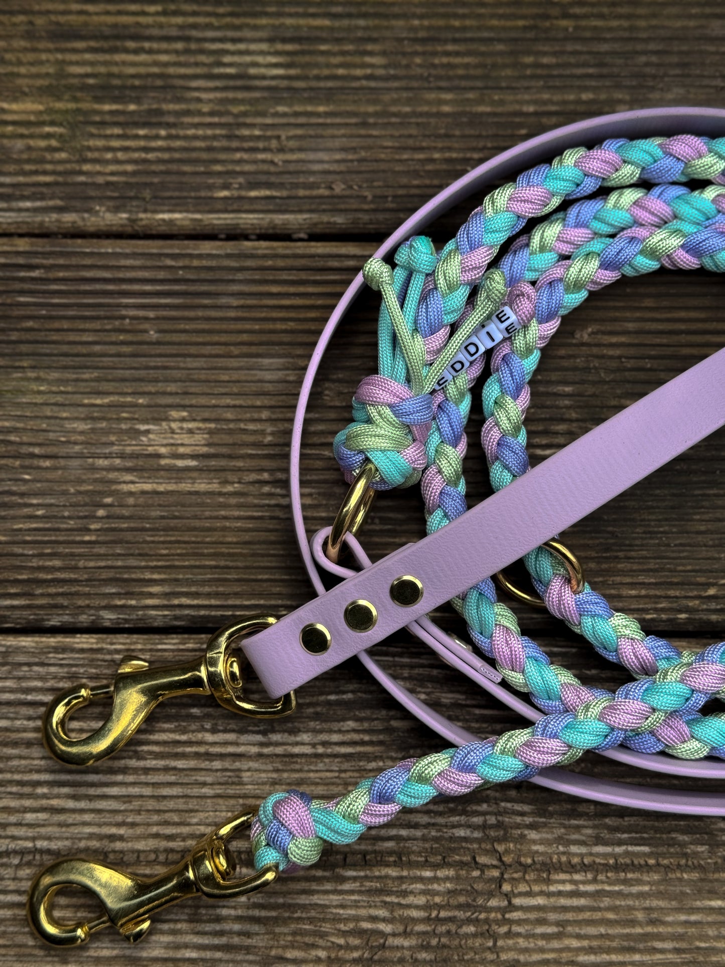Paracord x Biothane Leine