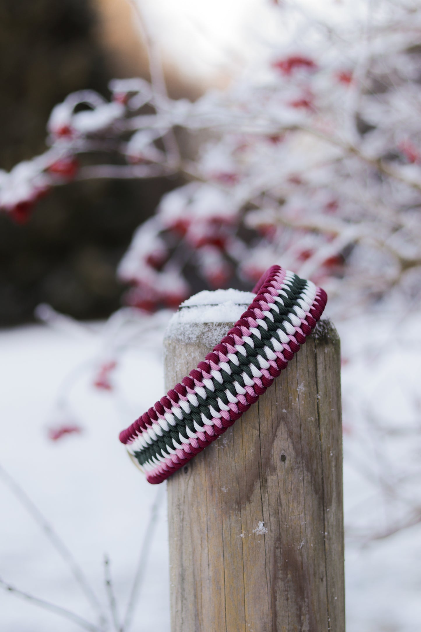 Amy‘s Candy Cane Forest