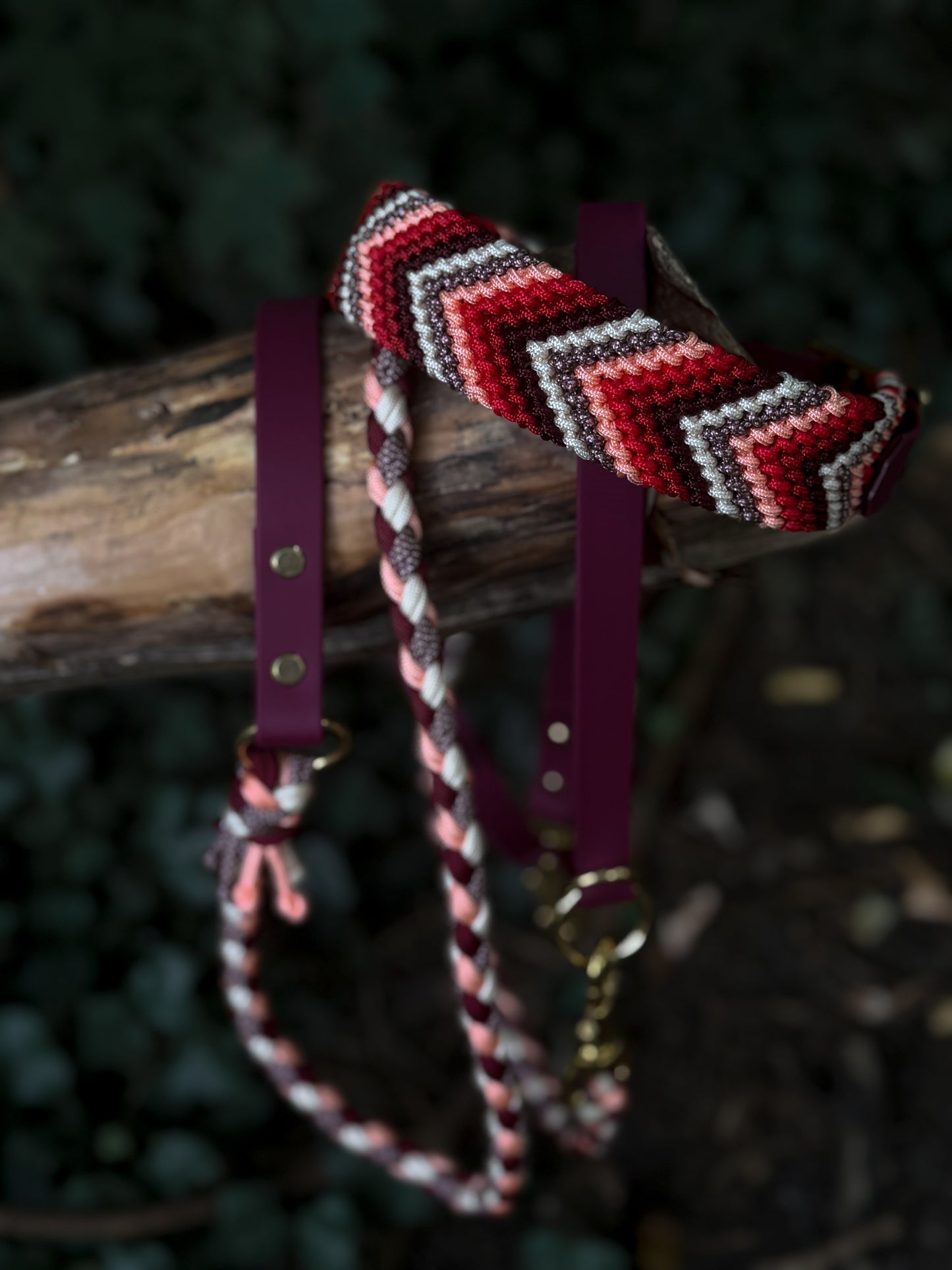 Lia's Autumn Berry