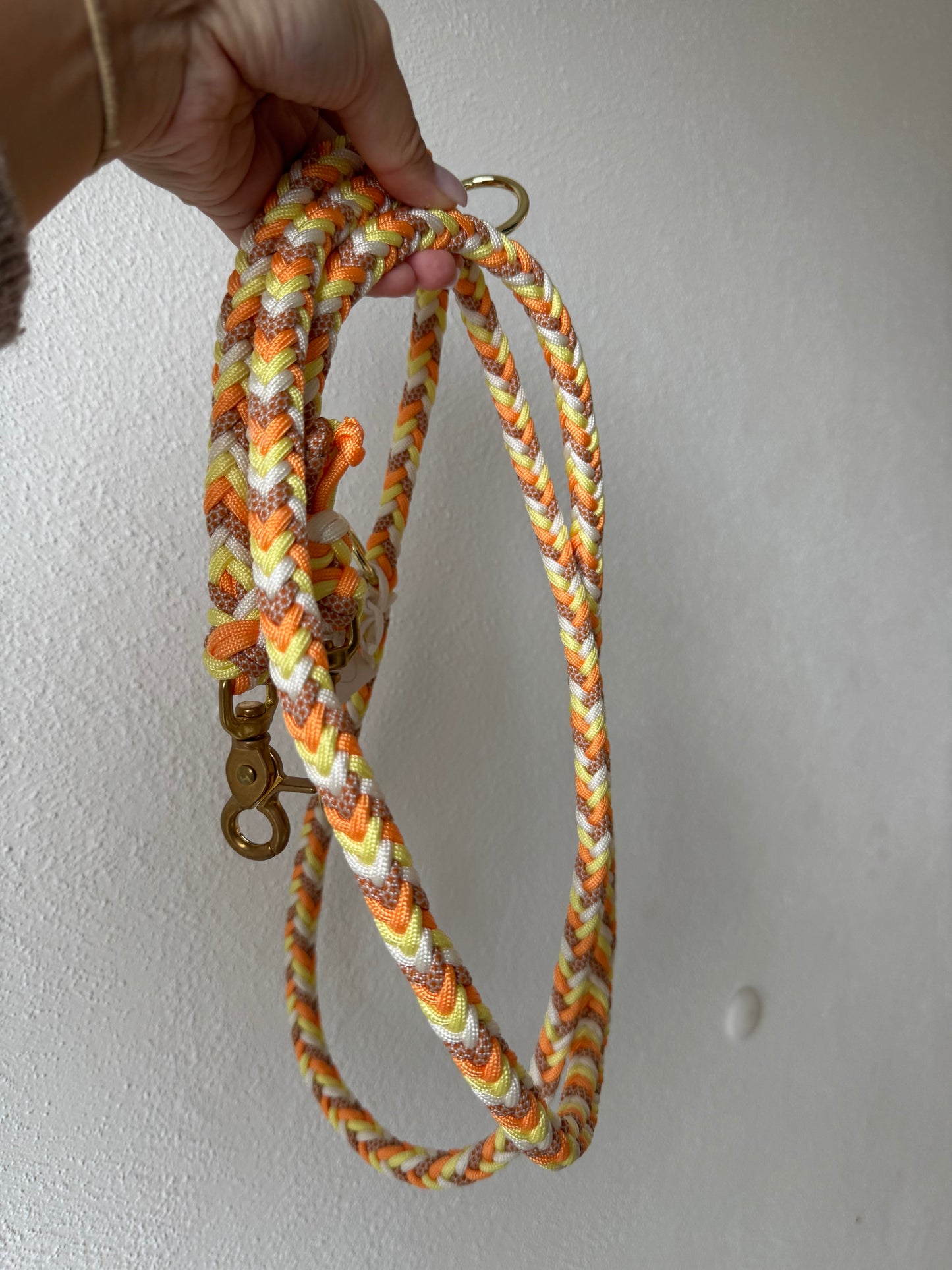 Leine „Edgy“ Sofortkauf