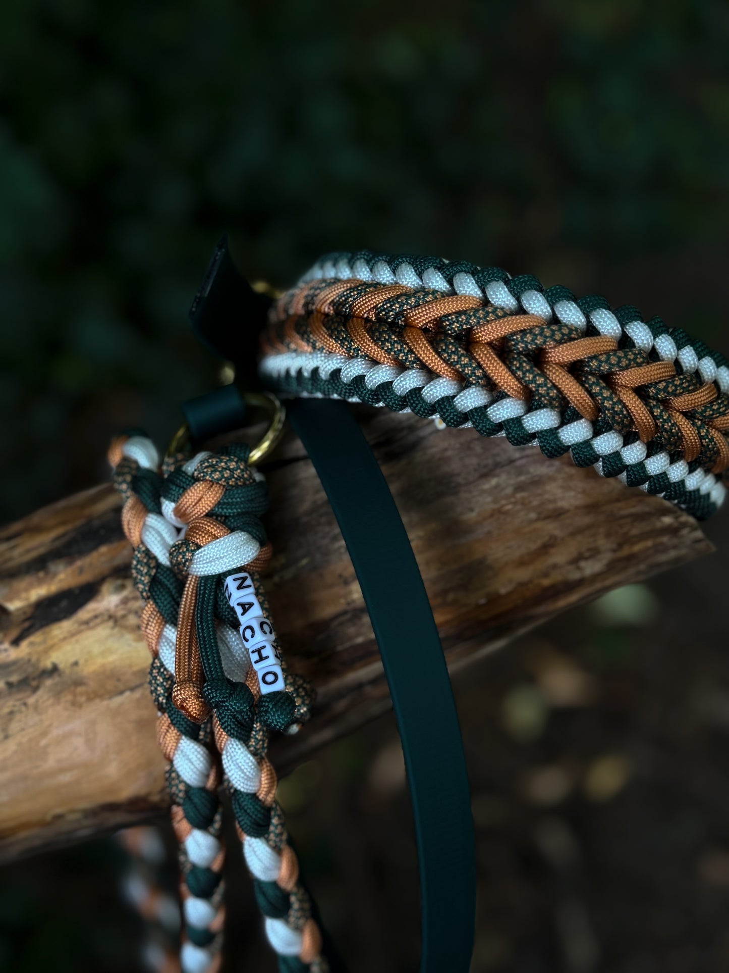 Nacho's Amber Forest