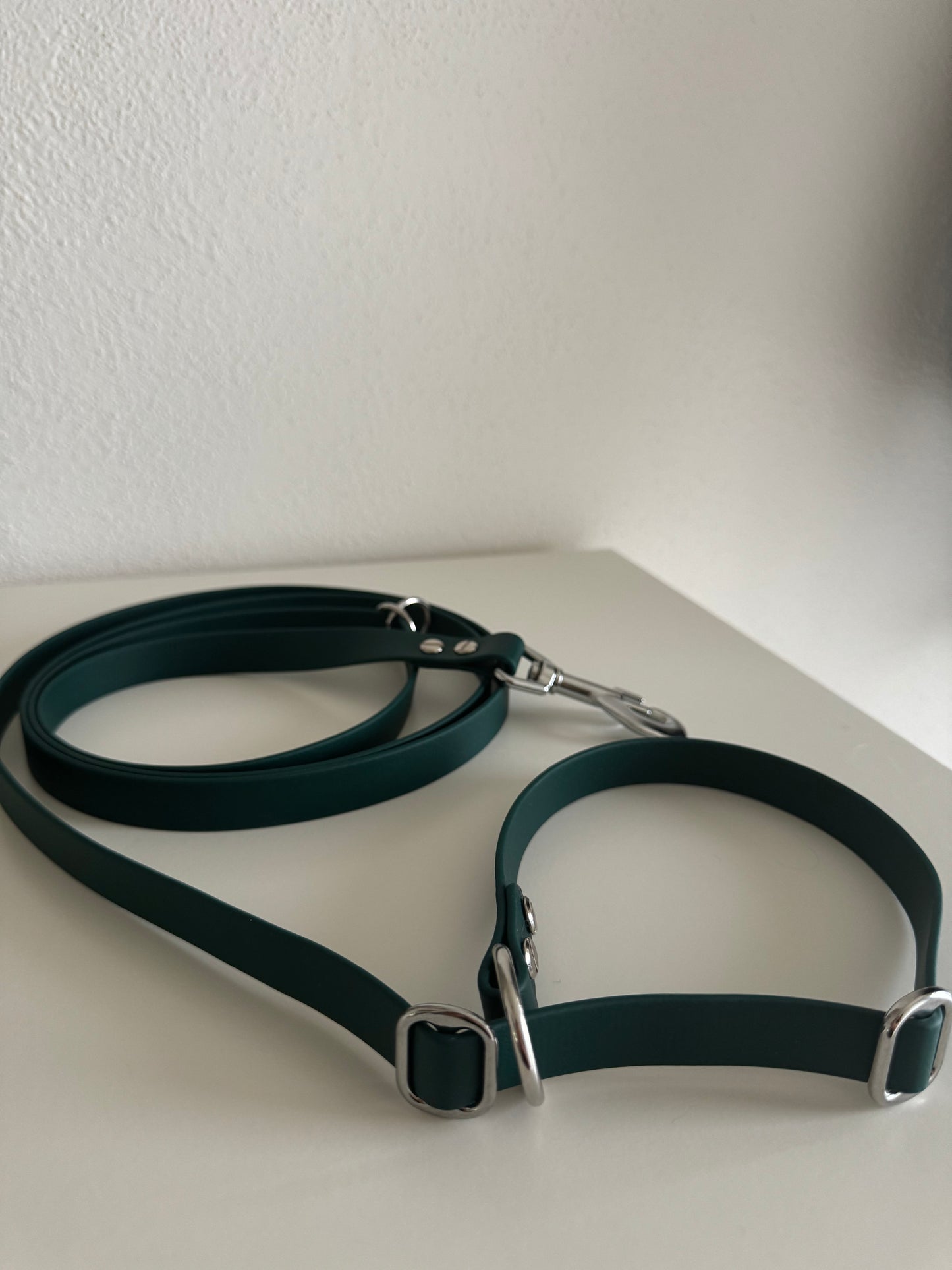 Retrieverleine aus Biothane