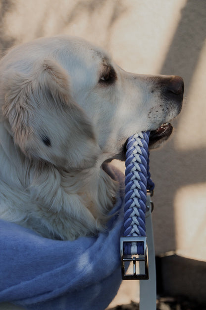 Lia‘s Frosty Violet