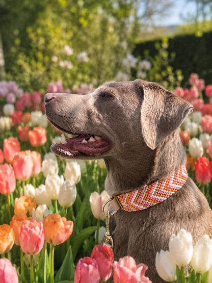 Nala‘s Sommerset „Tulpen“