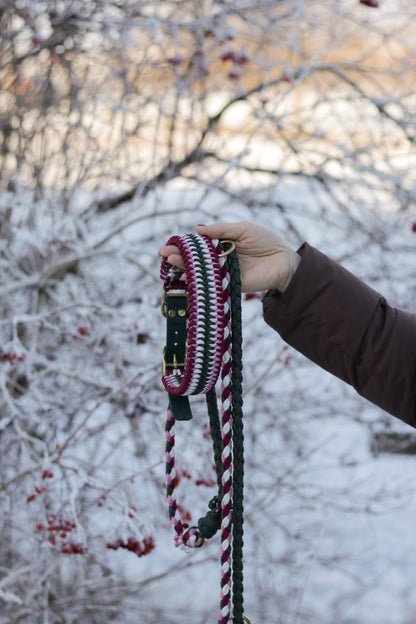 Amy‘s Candy Cane Forest