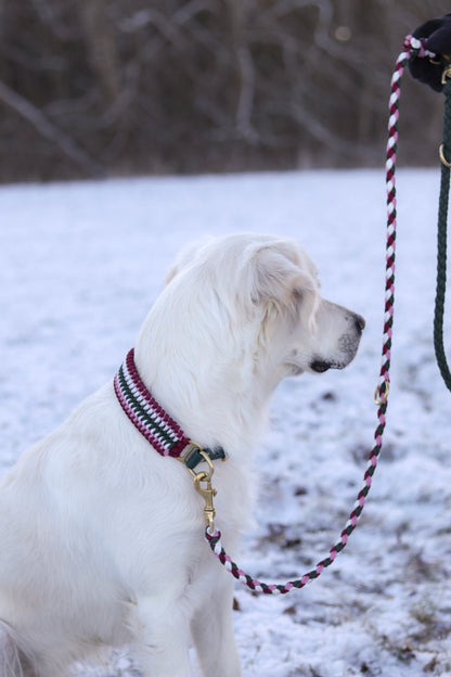 Amy‘s Candy Cane Forest