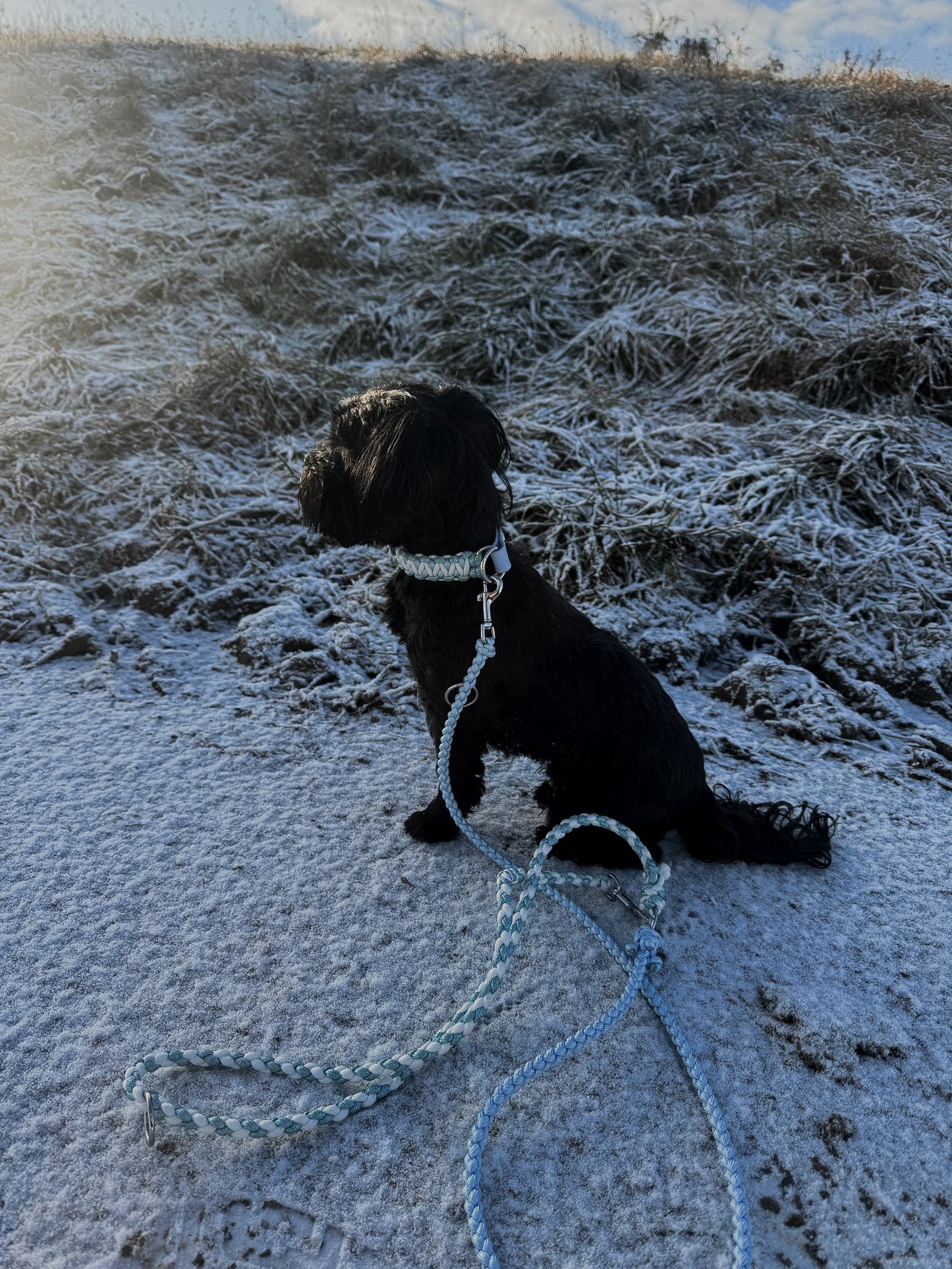 Nayla‘s Frosty Pearl