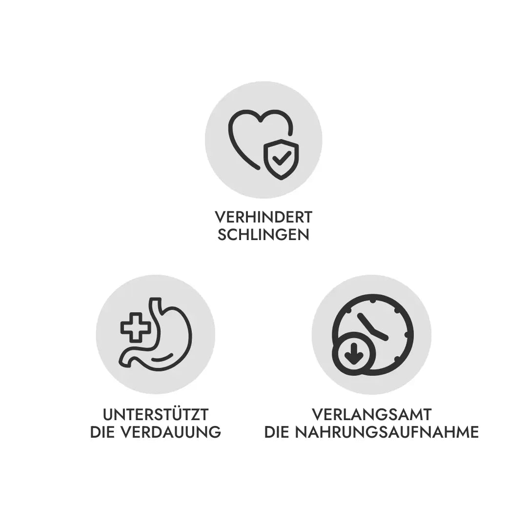 Anti Schling Napf & Schleckmatte 250ml
