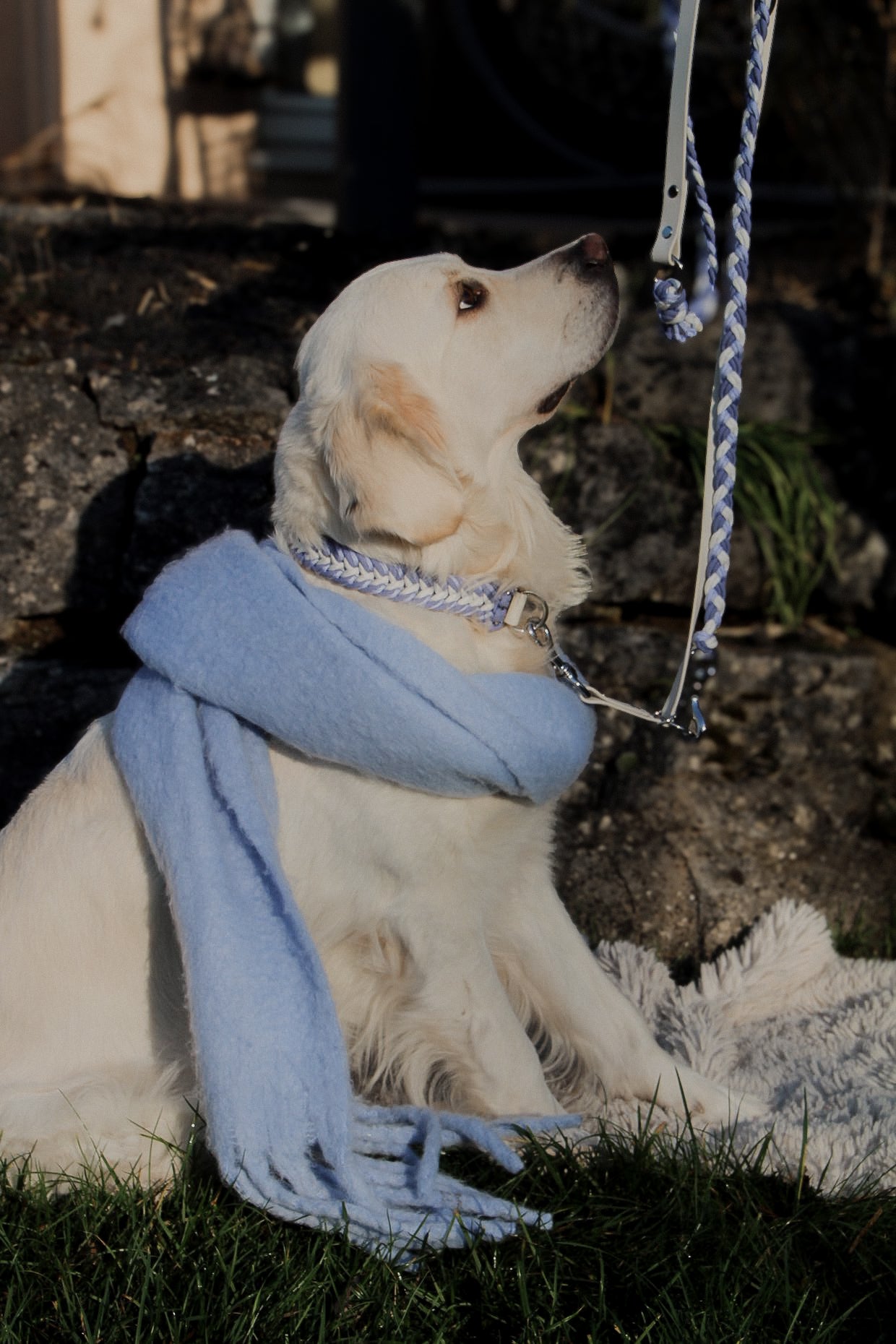 Lia‘s Frosty Violet