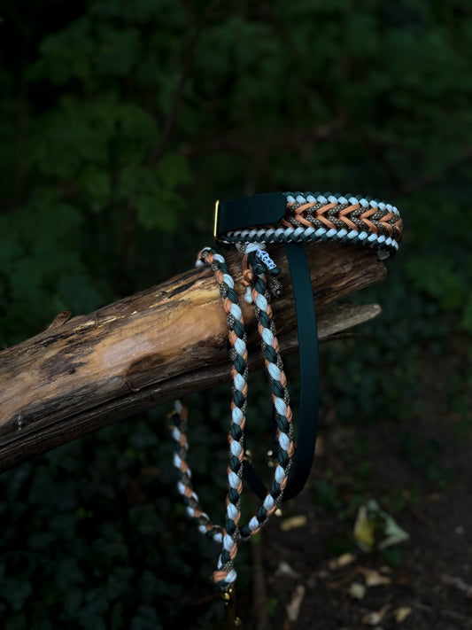 Nacho's Amber Forest