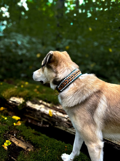 Nacho's Amber Forest