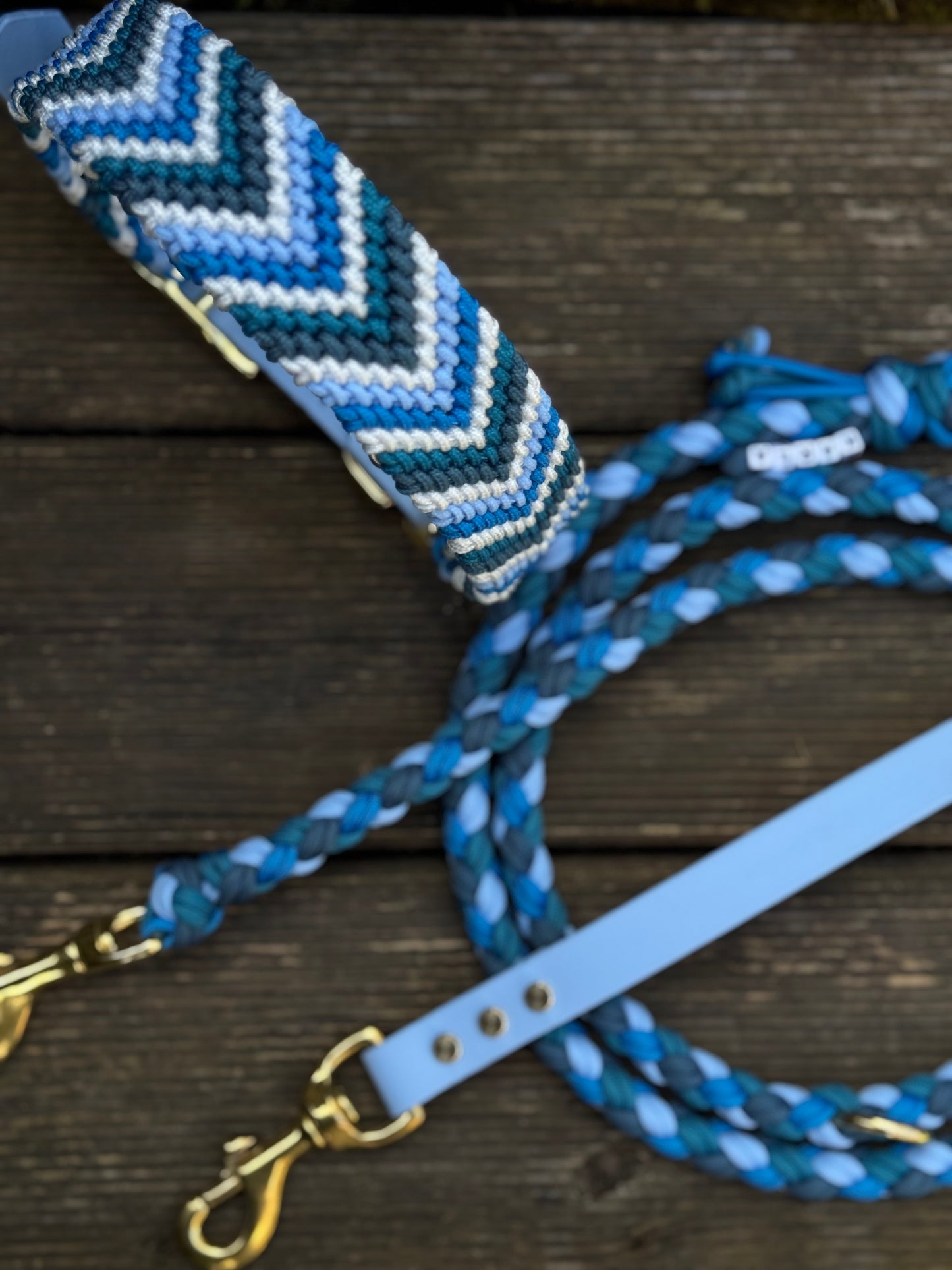 Paracord x Biothane Leine