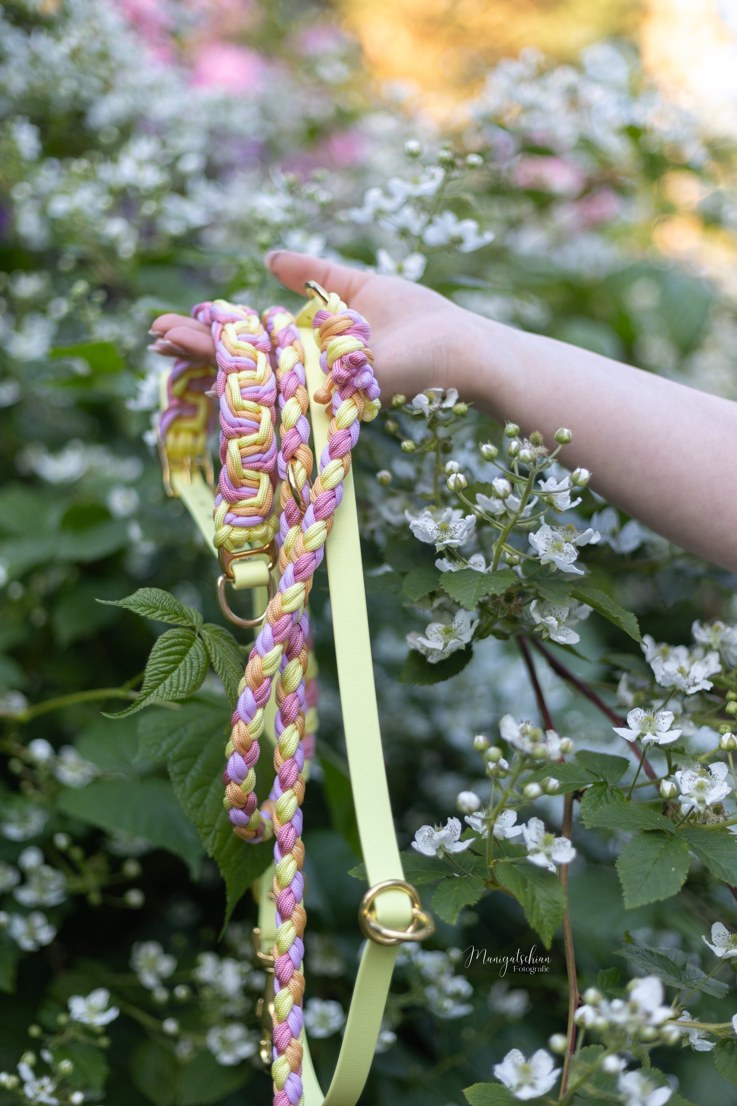 Hailey‘s Sommerset „Lilien“
