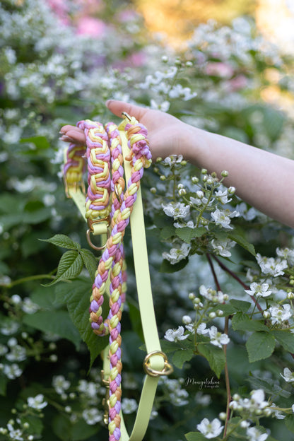 Hailey‘s Sommerset „Lilien“