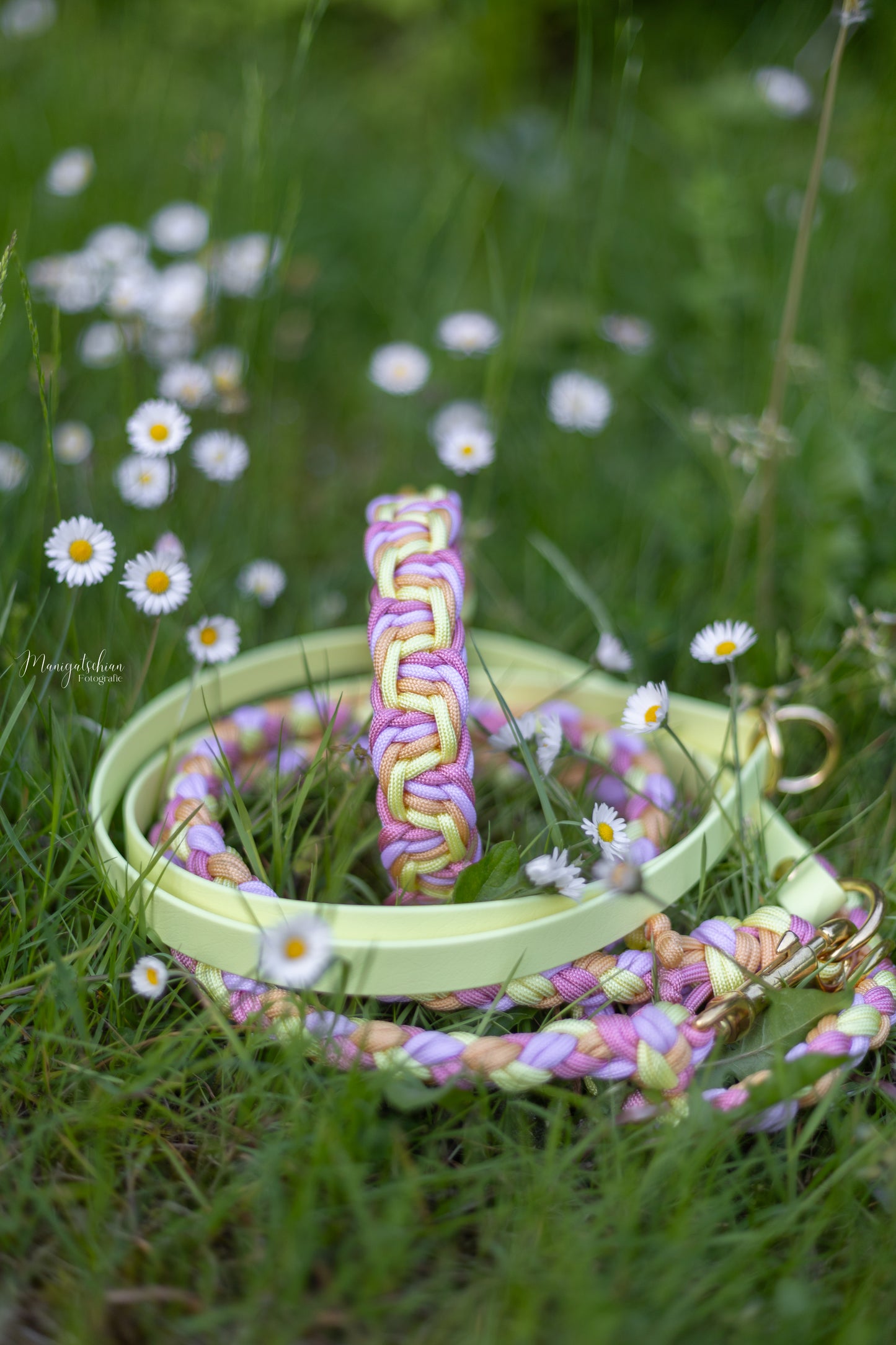 Hailey‘s Sommerset „Lilien“