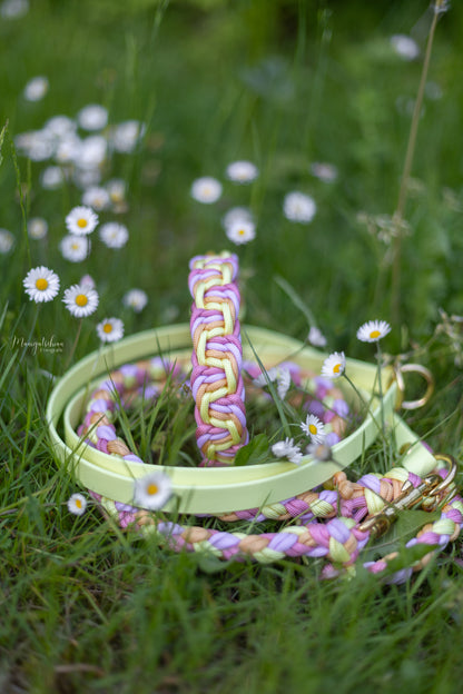 Hailey‘s Sommerset „Lilien“