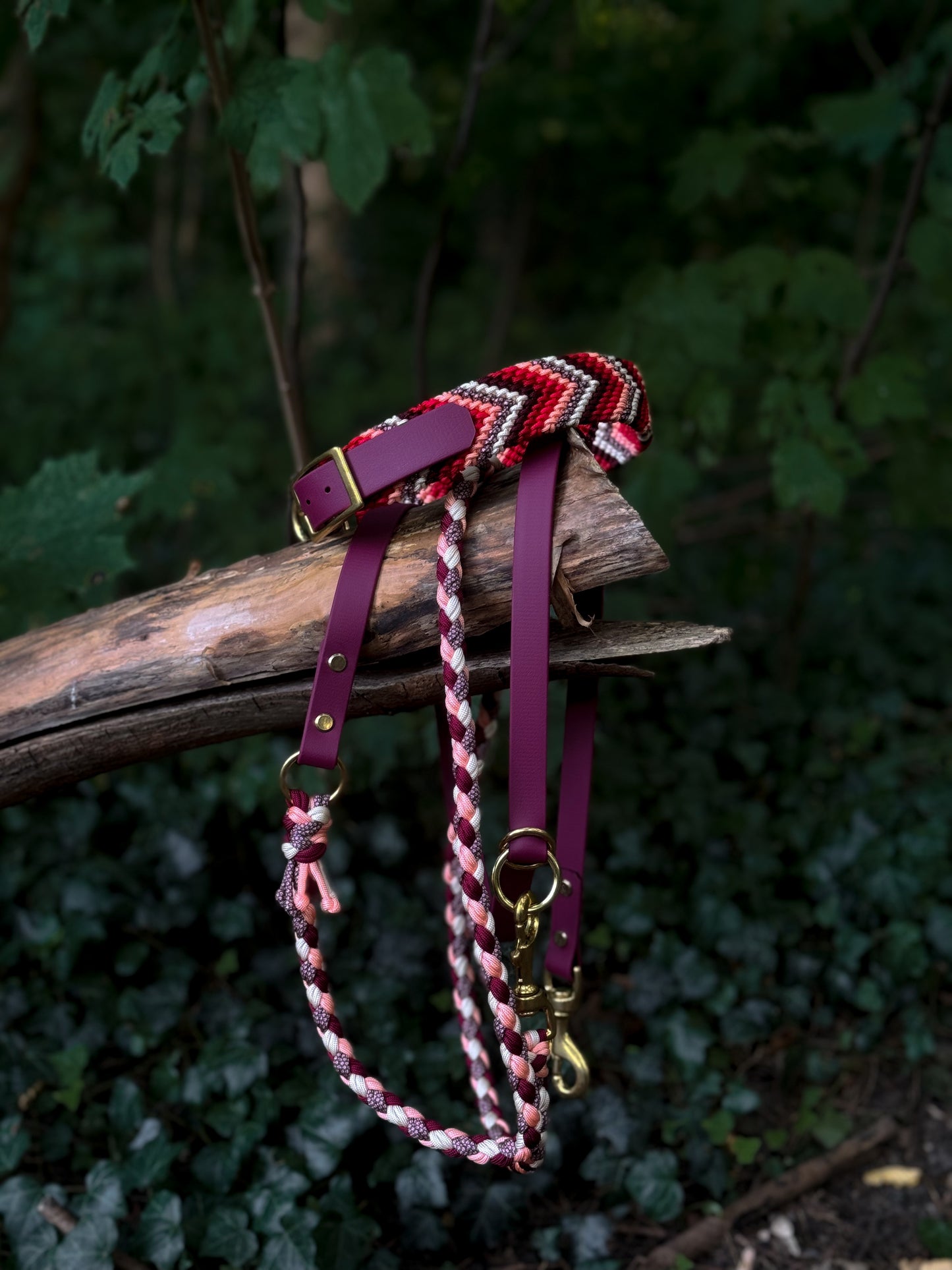 Lia's Autumn Berry