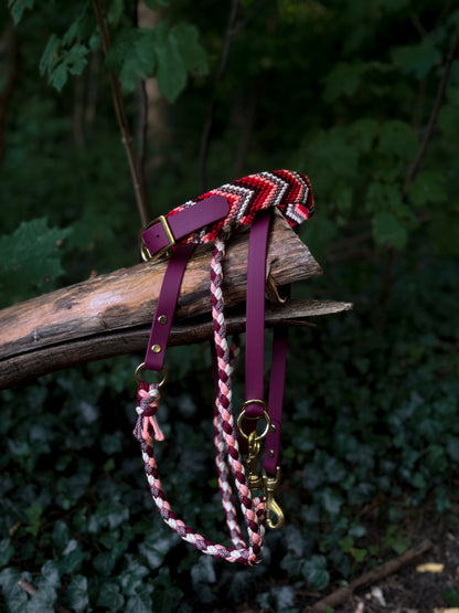 Lia's Autumn Berry