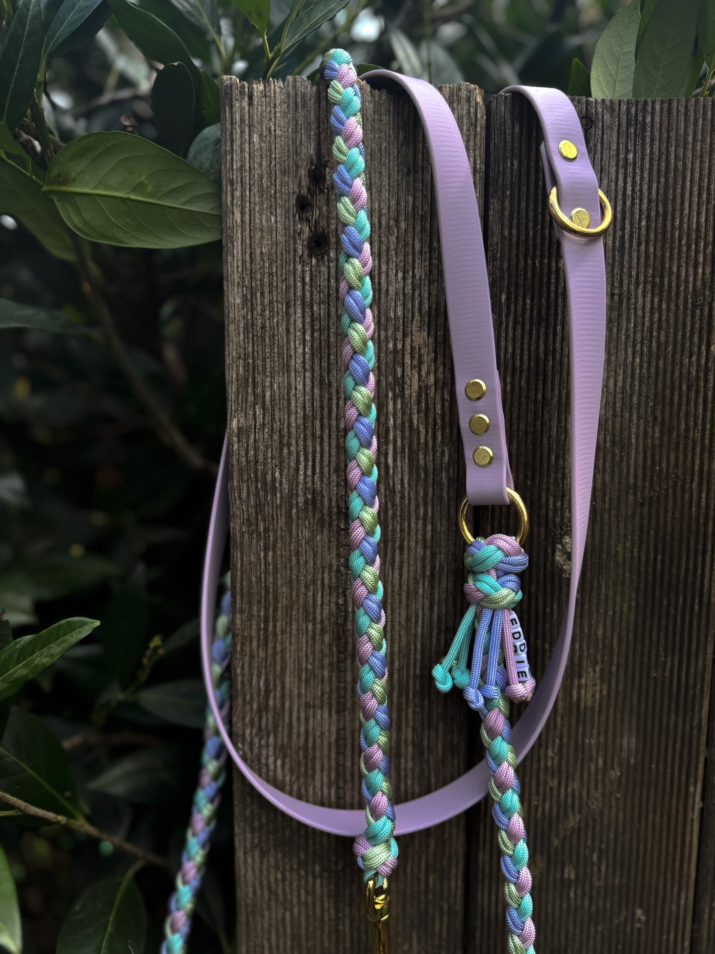 Paracord x Biothane Leine
