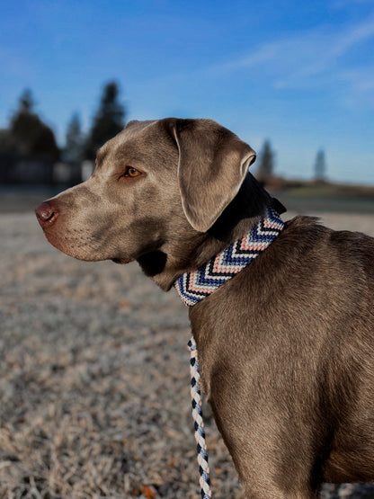 Nala‘s Velvet Winter